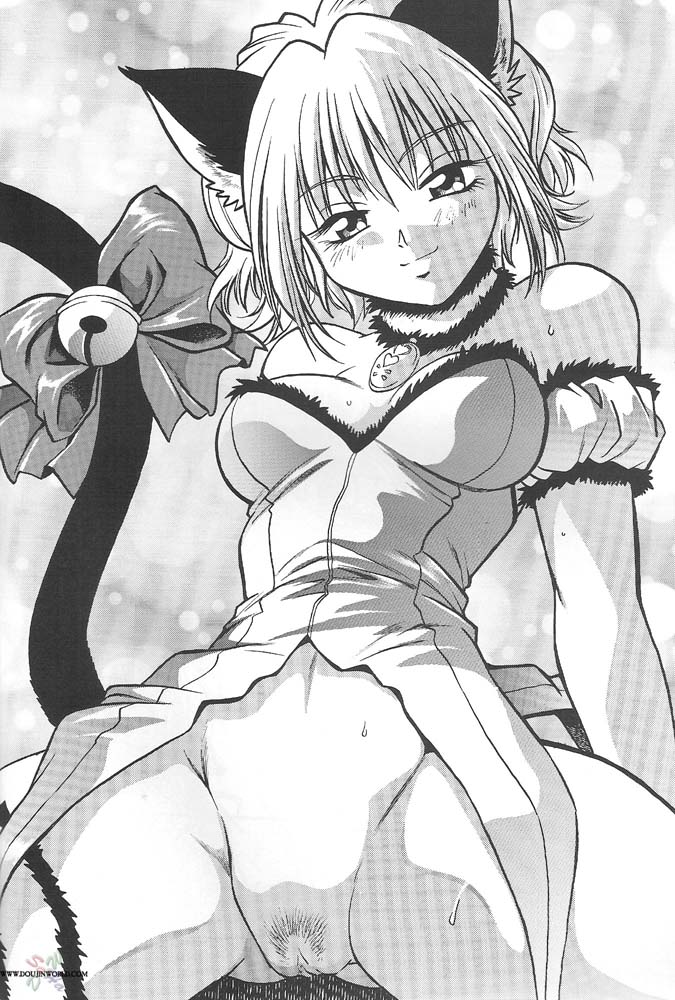 Hentai Manga Comic-Tokyo Mew Mew-Read-38